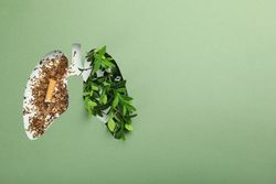 Mint green paper with lung shape cut out with half tobacco half foliage underneath with copy space