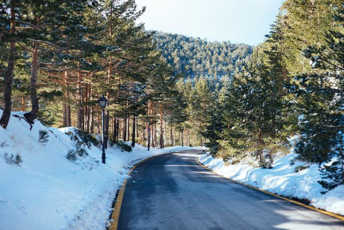 Empty road in snowy winter forest in daylight