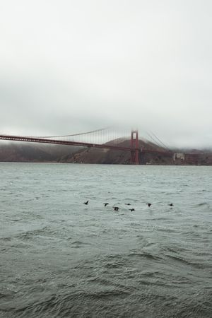Red bridge construction over wavy dark water