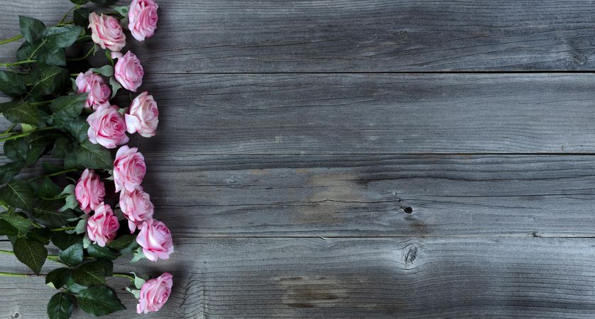 Mother’s day with lovely pink roses on aged wooden boards