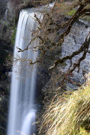 Autumn tree and waterfall