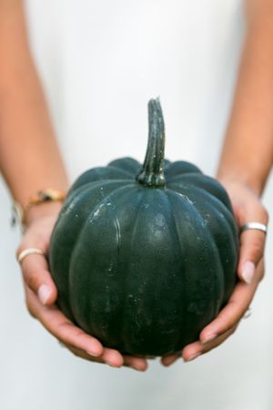 Cropped image of woman holding a pumpkin
