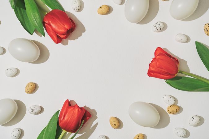 Easter eggs and red tulip flowers bordering light background