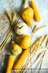 Dried corn and squash with wheat 0Vowr5