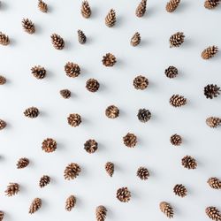 Winter forest aerial made of pinecones