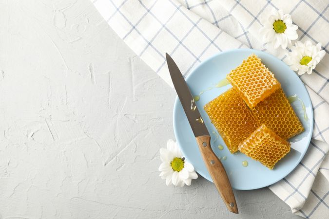 Plate with honeycombs and knife on neutral background, top view