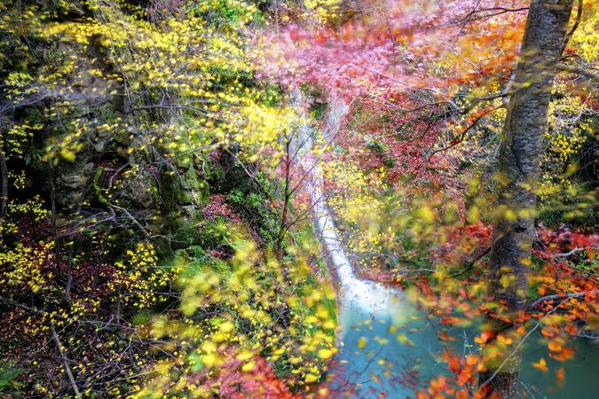 Multicolored woods above picturesque waterfall