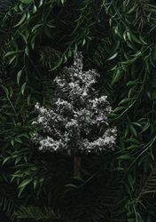 Snowy mini-Christmas immersed in densely packed leaves