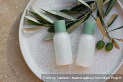 Summer cosmetic still life; shampoo or cream bottles with green cap next to olive tree branch 5zrzlX
