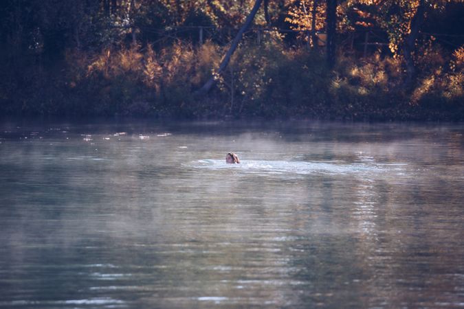 Woman swimming in lake