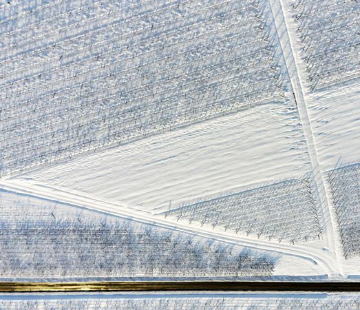 Alsace vineyards under heavy snow on a sunny winter day. Details and top view.