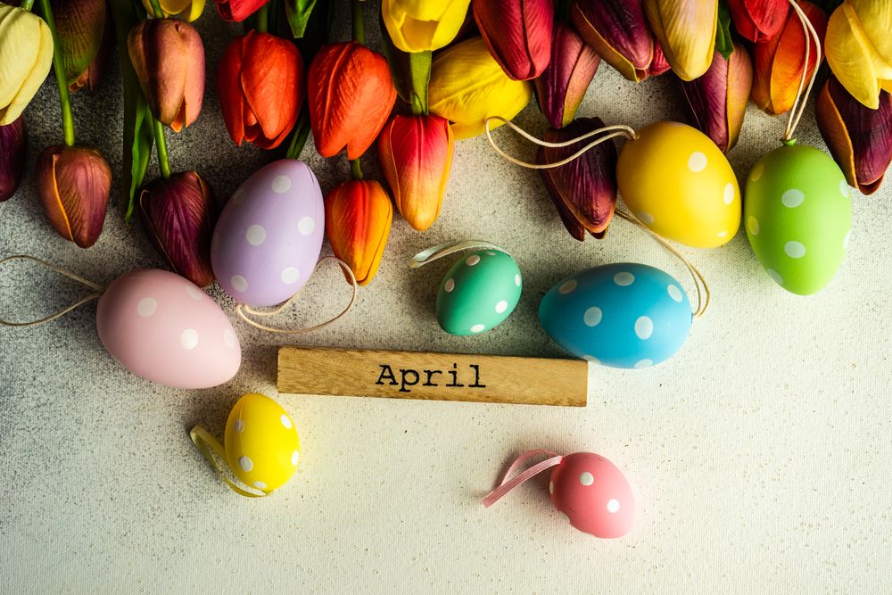 Flat lay of tulip flowers and dotted pastel eggs for spring