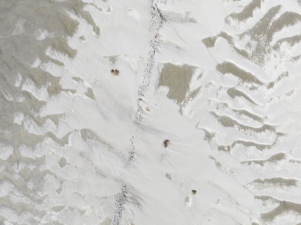 A Minimalist Coastal Landscape