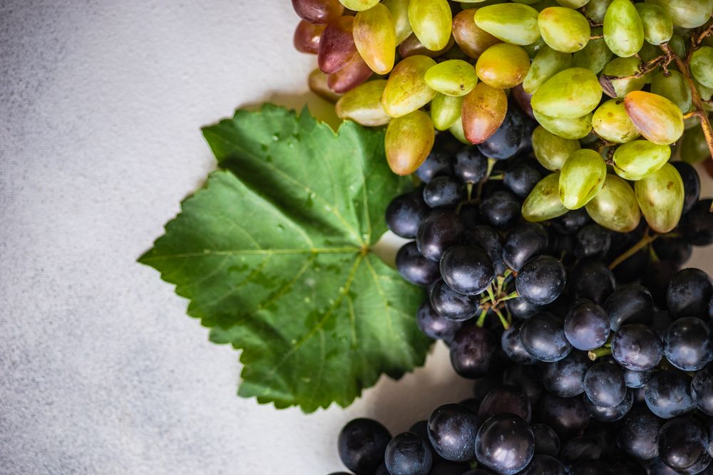 Top view of fresh red & green grapes on grey counter with copy space