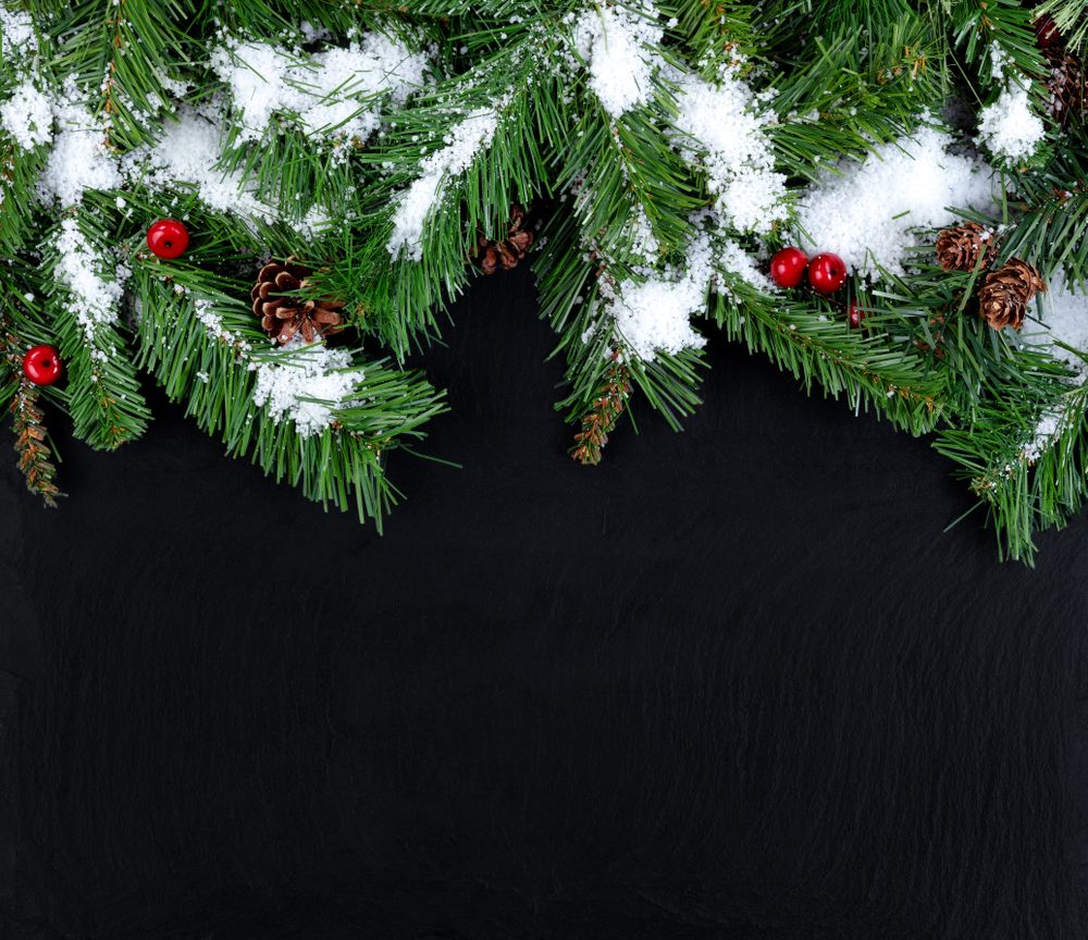 Top Border of Snowy evergreen tree branches on stone background