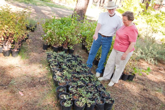 Older Couple Overlooking Potted Plants