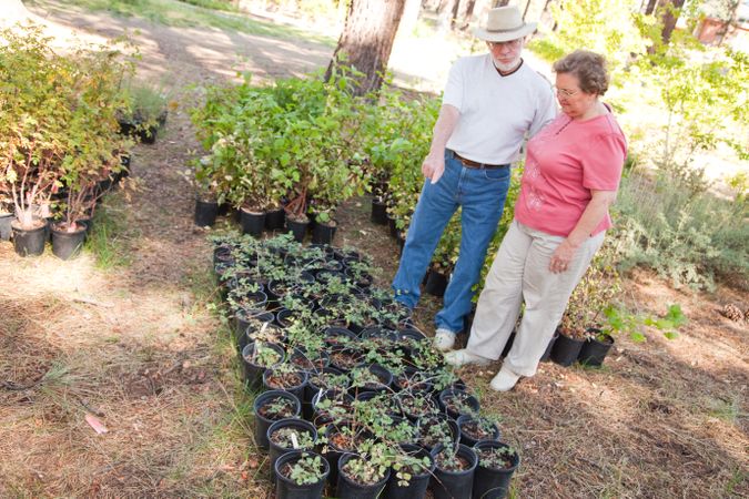 Attractive Older Couple Overlooking Potted Plants