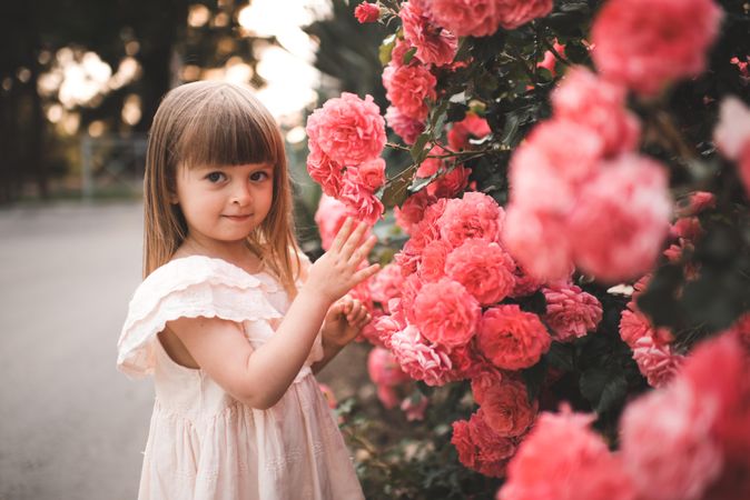 Girl in pink dress standing beside rose tree outdoor