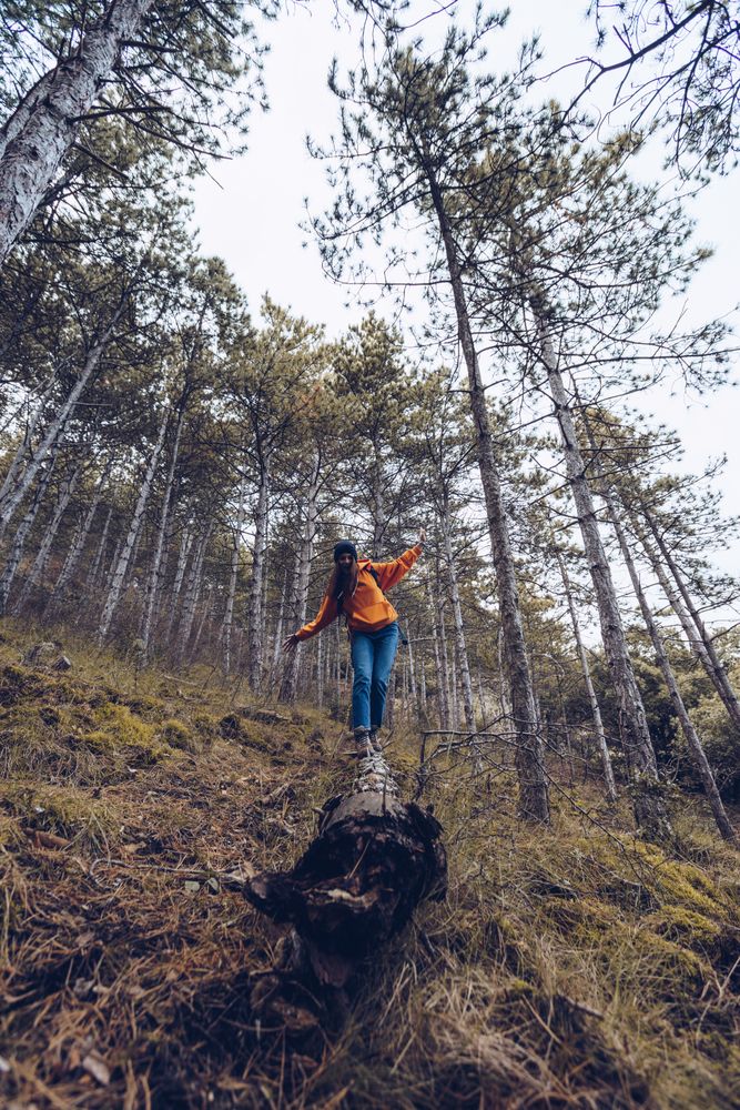 Female tourist balancing and walking along fallen tree in forest