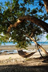 Empty hammock on tropical beach