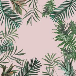 Green leaves bordering blush background