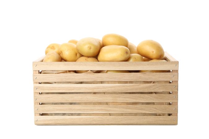 Basket of whole potatoes recently farmed