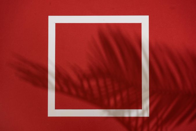 Top view of tropical leaf shadow on red background with paper frame
