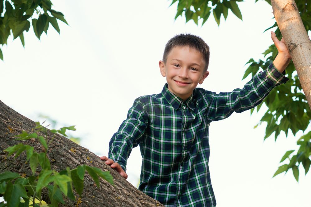 Boy relaxing on tree branch