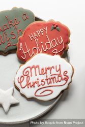 Holiday wishes written on gingerbread cookie 563ex4