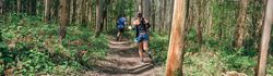 Young woman and man doing trail
