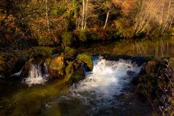 Small waterfall in autumn forest