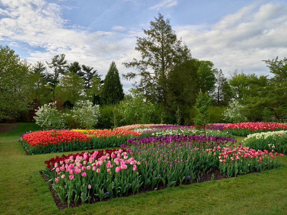 View of Longwood Gardens in Kennett Square, Pennsylvania