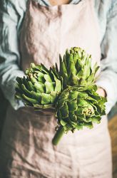 Organic garden artichokes in gardener’s hands
