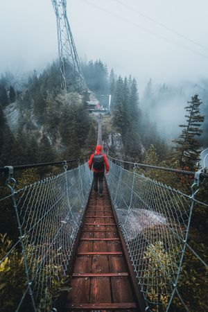 Back view of person in red jacket with backpack walking on a rope bridge