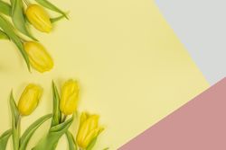 Fresh yellow flowers with green leaves