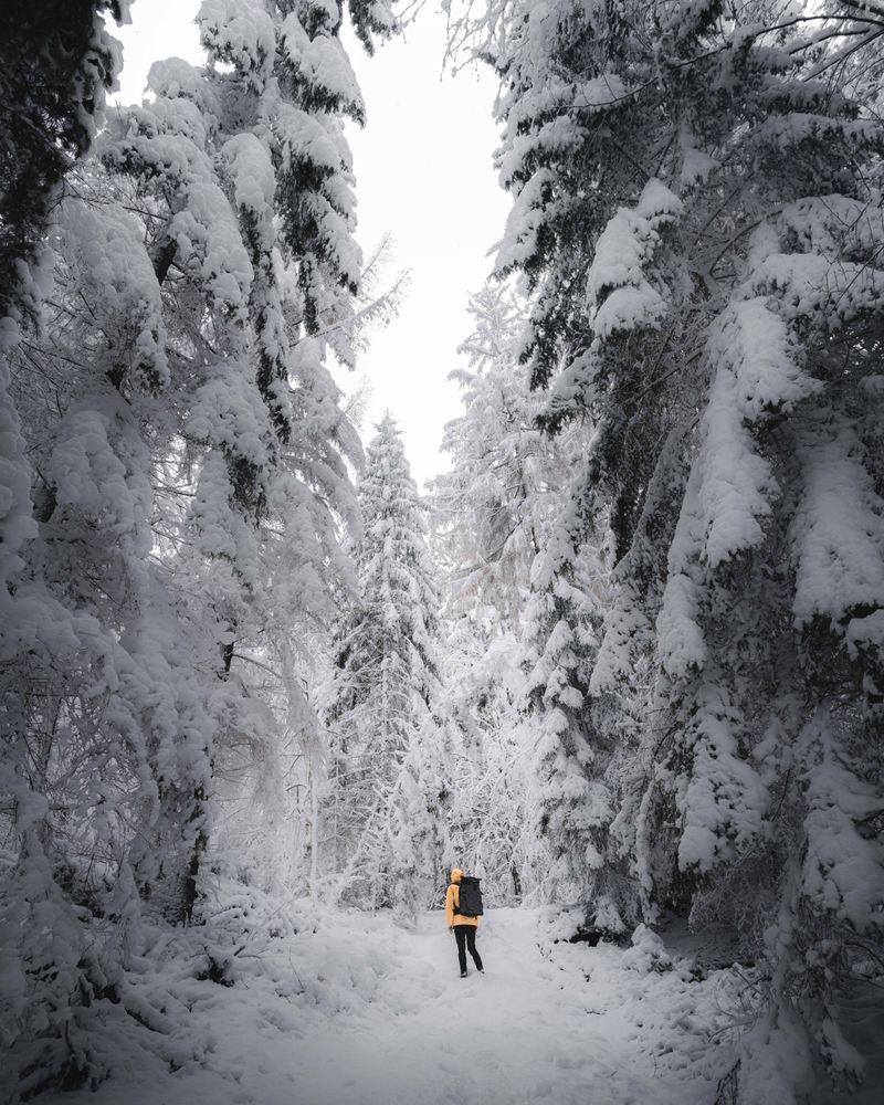 Person in orange jacket walking between snow covered trees