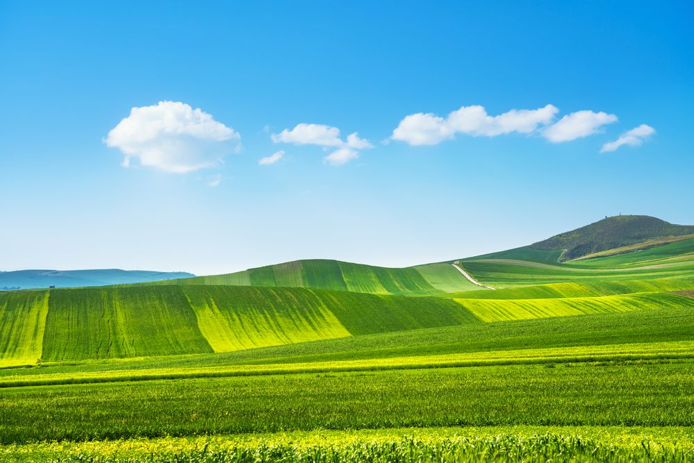 Apulia countryside view rolling hills landscape, Poggiorsini, Murge Italy