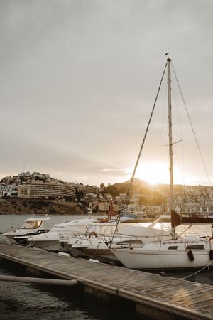 Yachts docked in sea port at sunset
