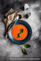 Traditional tomato soup Gazpacho bDjVD8