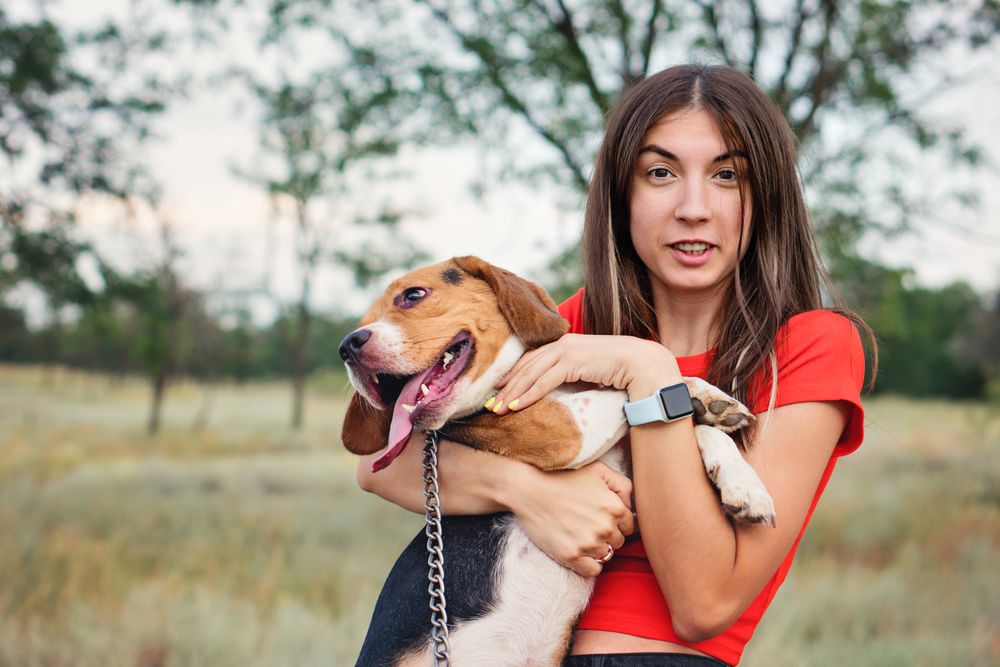 Young woman holds dog beagle