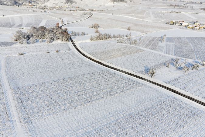 Alsace vineyards under heavy snow on a sunny winter day. Details and top view.
