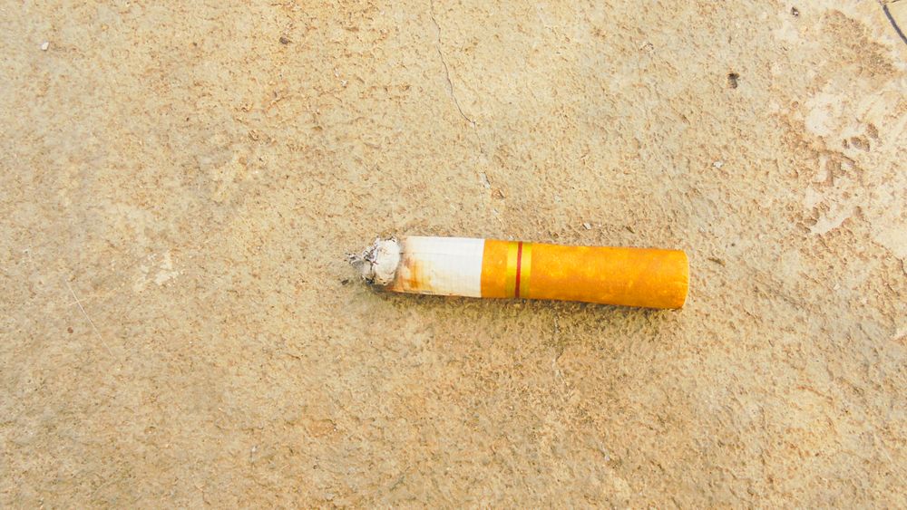 cigarette butts on the texture cement