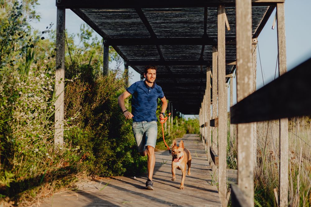 Happy adult man running with dog along countryside