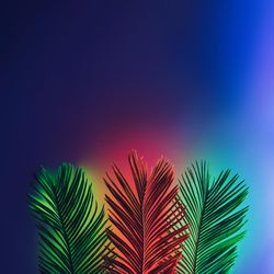 Neon tropical palm leaves layout in vivid fluorescent colors on purple background