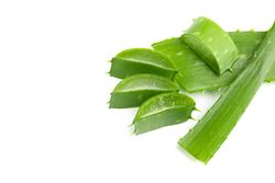 Aloe vera slices isolated on blank background. Herbal medicine