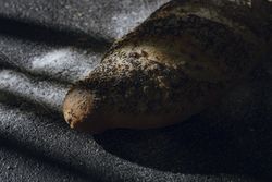 Loaf of bread with grains and poppy seeds
