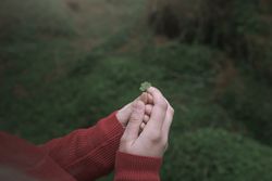 Woman holding tiny clover leaf in forest