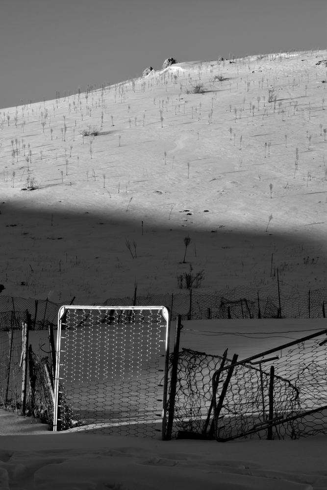 B&W fence in winter