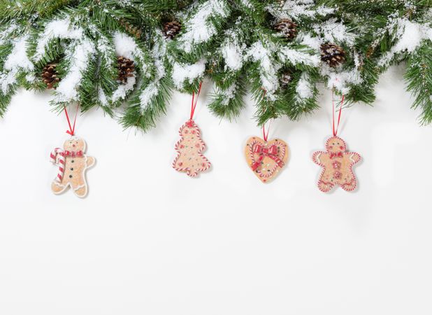 Christmas snowy tree branches and cookie ornaments