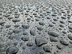 A wet surface with many small water droplets scattered across it
